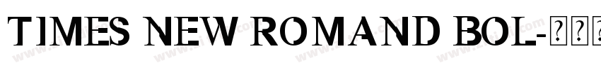 TIMES NEW ROMAND BOL字体转换